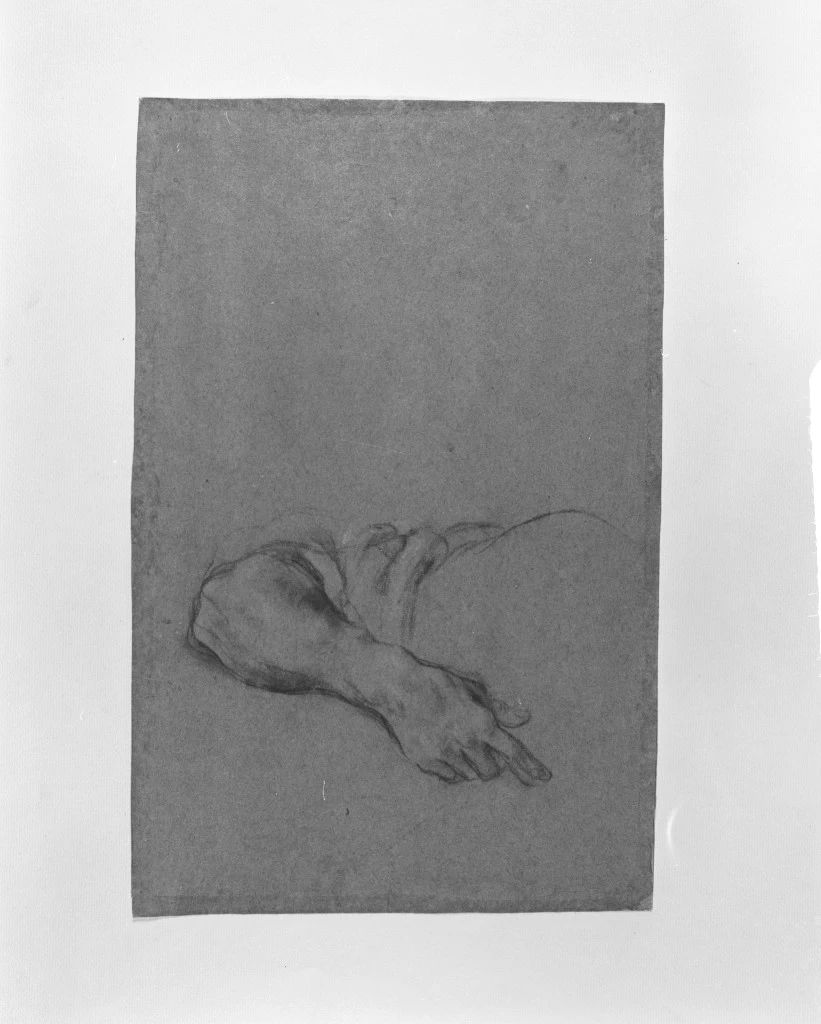Studio di braccio - Gallerie dell'Accademia, Venezia